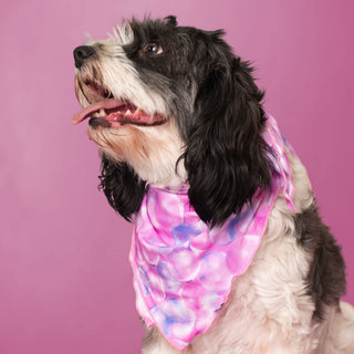 Bubbles | Bamboo Pet Bandana