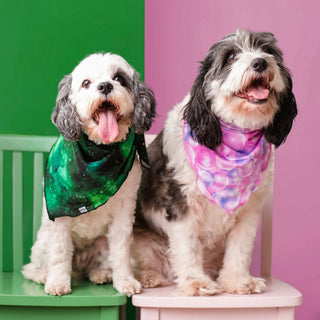 Matching Pet Bandanas | Dog & Cat Bandanas