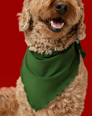 Evergreen | Bamboo Pet Bandana