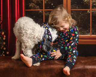 Christmas | Holiday Lights | Bamboo Pet Bandana