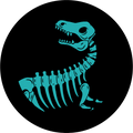 Dino Fossils | Bamboo Raglan Tee