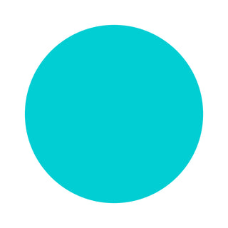 Turquoise | Bamboo Scrunchie